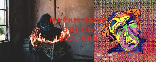 a pvp Аркадак