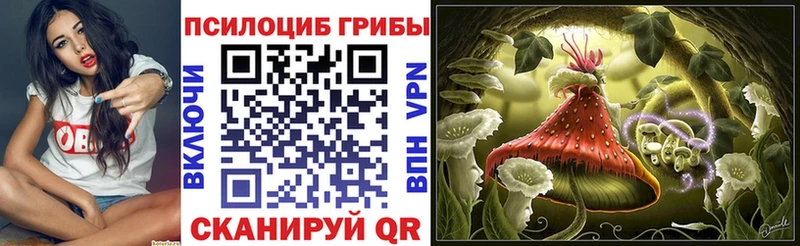 Псилоцибиновые грибы MAGIC MUSHROOMS Галич